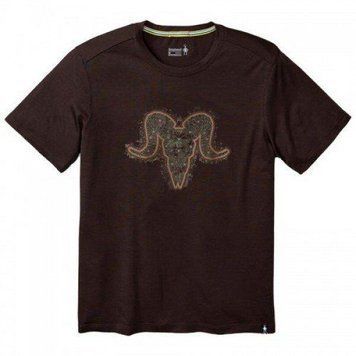 Футболка Smartwool Men's Merino 150 Aires Tee Sumatra Brown, XXL