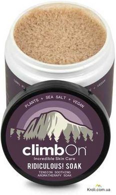 Мазь Black Diamond Ridiculous Soak 10 oz / 283,5 г (CO SN6400400000ALL1)