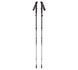 Палки трекинговые Black Diamond Distance FLZ, 95-110 см (BD 112206-110)