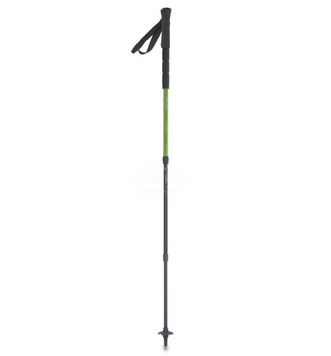 Трекінгові палиці Pinguin Light TL Foam, Green (PNG 811148)