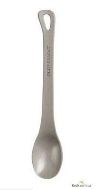 Ложка Sea To Summit Delta Long Handled Spoon з довгою ручкою Grey (STS ADLSPOONGY)