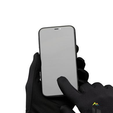 Перчатки мужские Black Diamond LightWeight Screentap Liners, Black, L (BD 8018080002LRG1)