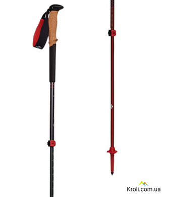 Палиці трекінгові Black Diamond Pursuit Charcoal/Octane, M/L (BD 1100669480M_L1)