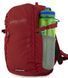 Рюкзак Pinguin Step 10 2020 року, Red