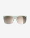 Солнцезащитные очки POC Want, Apophyllite Green (PC WANT70121576BSM1)