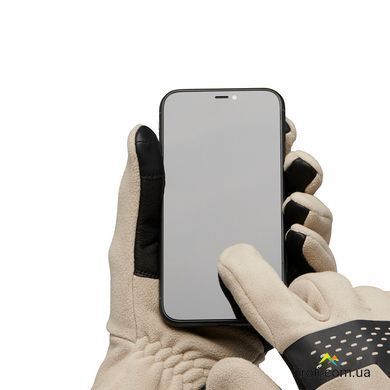 Перчатки мужские Black Diamond Alpine Fleece Gloves, Moonstone, S (BD 8017472018SML1)