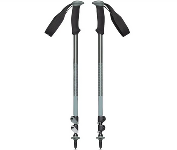 Трекинговые палки телескопические Black Diamond Trail Back, 62-140 см, Laurel Green, One Size (BD 1125493053ALL1)