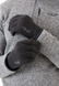 Рукавички Rab QuestWindstopper Gloves, Anthracite, XL (RB QAJ-66-ANT-XLG)
