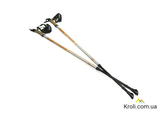 Палки для скандинавской ходьбы Silva EX-Pole Alu Adjustable, Orange (SLV 56065-7000)