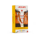 Термоштаны мужские Accapi X-Country, Orange, M/L (ACC А603.930-ML)