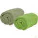 Набор полотенец из микрофибры Sea to Summi Tek Towel 2 WashCloths, XXS - 30х30см, Eucalypt/Lime (STS ATTWCEGLI)