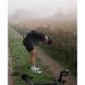 Велошорты женские с лямками POC W's Ultimate VPDs Bib Shorts, Navy Black, L (PC 581531531LRG1)
