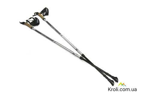 Палки для скандинавской ходьбы Silva EX-Pole Alu Adjustable, Grey (SLV 56065-000)