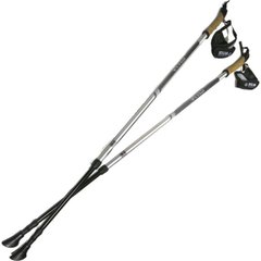 Палки для скандинавской ходьбы Silva EX-Pole Alu Adjustable, Grey (SLV 56065-000)