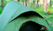 Палатка двухместная Pinguin Arris Extreme DAC, Green (PNG 139648)