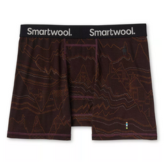 Чоловічі труси Smartwool Men's Merino 150 Print Boxer Brief Boxed Woodsmoke Digital Summit Print, M (SW SW015151.H18-M)
