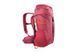 Рюкзак Tatonka Storm 20 Redbrown