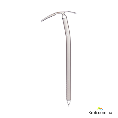 Льодоруб Black Diamond Raven Pro, 65 см (BD 410171.0000-65)