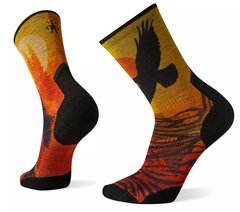 Шкарпетки чоловічі Smartwool Athlete Edition Run Raven Print Crew, Tandoori Orange, 38-41 (SW SW001539.823-M)