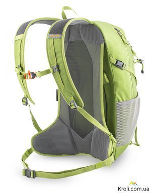 Рюкзак Pinguin Ride 25 2020 Green (PNG 308143)