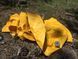 Надувной коврик Sea to Summit Ultralight Mat Small (STS AMULSAS)