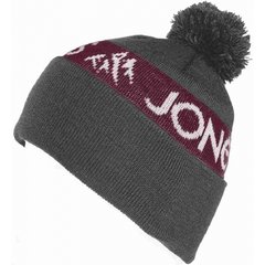 Jones Snowboards Team Beanie Gray / Red Hat (JNS VJ160308)