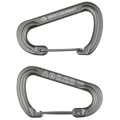 Набір карабінів Sea To Summit, Accessory Carabiner Large Titanium 2pcst, Titanium (STS ATD0140-00122101)