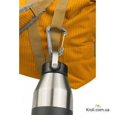 Набор карабинов Sea To Summit, Accessory Carabiner Large Titanium 2pcs, Titanium (STS ATD0140-00122101)