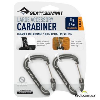 Набор карабинов Sea To Summit, Accessory Carabiner Large Titanium 2pcs, Titanium (STS ATD0140-00122101)