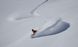 Сноуборд Jones Snowboards Flagship 2020