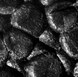 Велошолом POC Axion, Uranium Black Matt, M (55 - 58) (PC 107401037MED1)